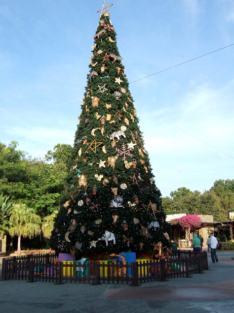 20061205_081952 null