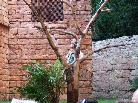 20070930_131107 null