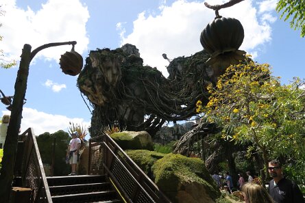 20190328_121445 null