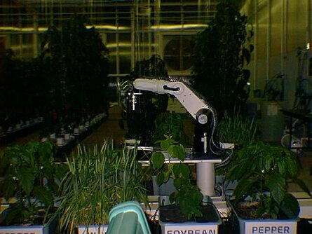 19980124_133626 null