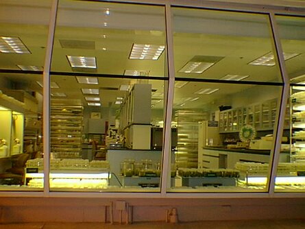 19980124_133701 null