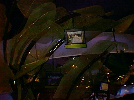 19991108_043_notime null