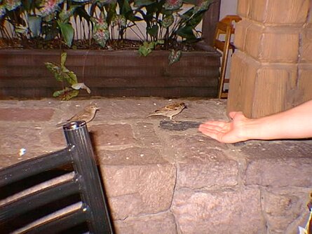 19991115_003_notime null