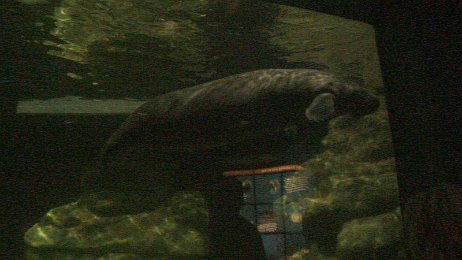 20061208_194653 null