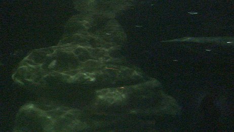 20061208_194925 null
