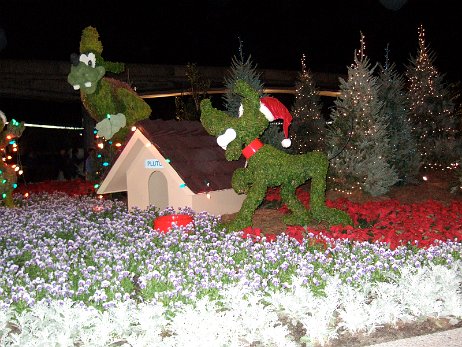 20061205_183743 null