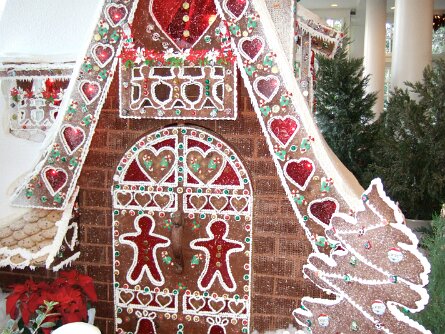 20061207_164947 null