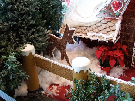 20061207_165011 null