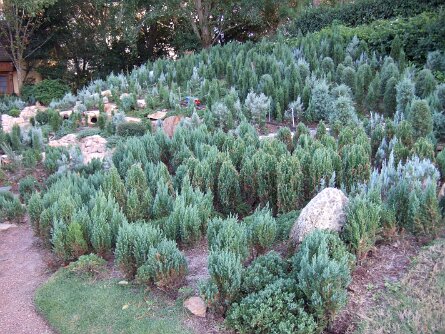 20061207_162511 null
