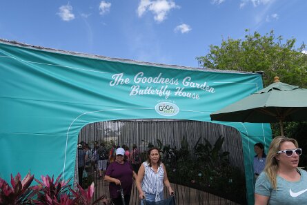 20190329_113208 null