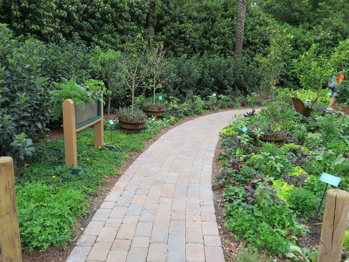FloridaFreshGarden