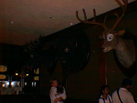 19970524_101546 null