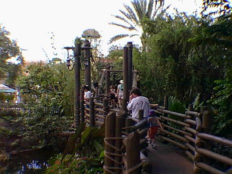 19981018_062018 null