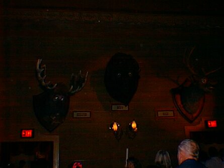 19980123_093814 null