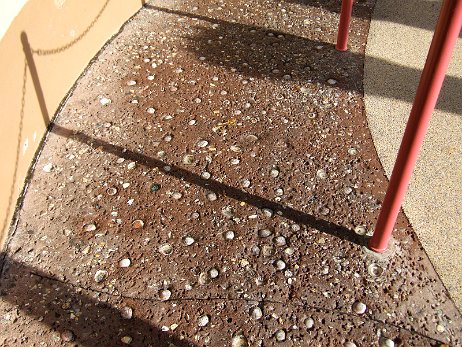 20061208_091724 null