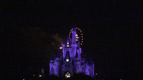 20061209_210829 null