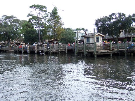 20061208_134702 null