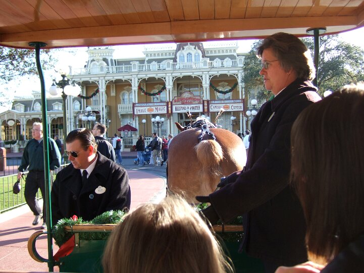 HorseTrolly