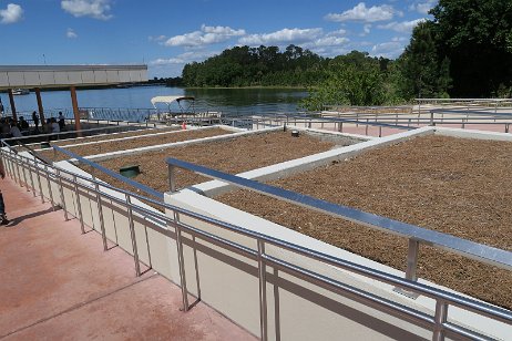 20190330_140928 null