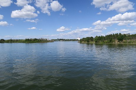 20190330_141851 null