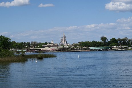 20190330_141930 null