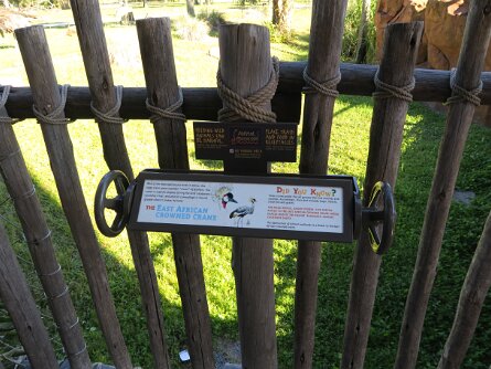 Animals