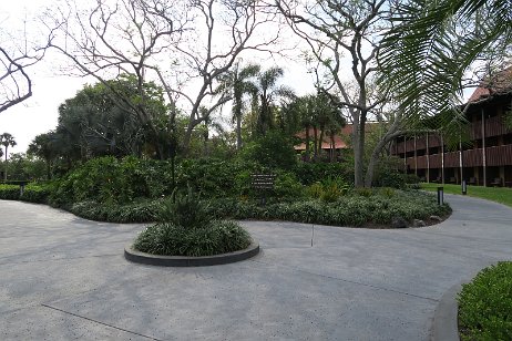 20190329_161631 null